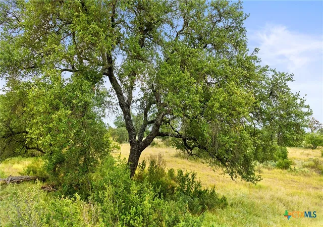 Photo 3 of Land for sale at Lot 37 Vista Ridge Dr, Round Mountain, TX 78663 | MLS# 598177 | Listing updated on 2026-09-10