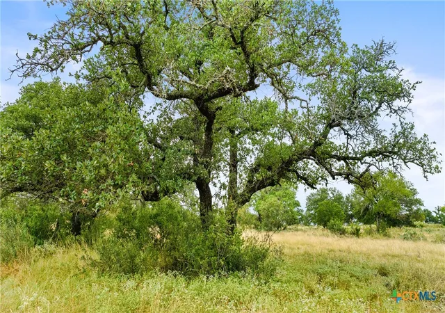 Photo 3 of Land for sale at Lot 37 Vista Ridge Dr, Round Mountain, TX 78663 | MLS# 598177 | Listing updated on 2026-09-10