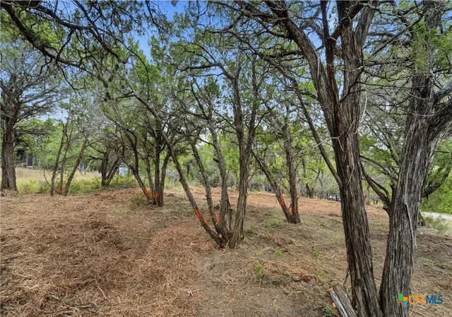 Photo 2 of Land for sale at 799 Hillside Loop, Canyon Lake, TX 78133 | MLS# 598801 | Listing updated on 2026-08-27