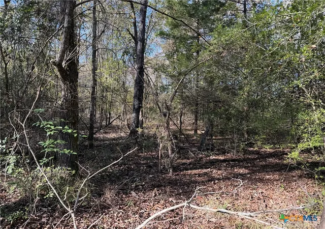 Land for sale at 128 County Rd 301 Tract 7, Fairfield, TX 75855 | MLS# 599635