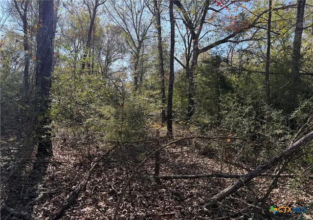 Photo 1 of Land for sale at 128 County Rd 301 Tract 7, Fairfield, TX 75855 | MLS# 599635 | Listing updated on 2026-08-21
