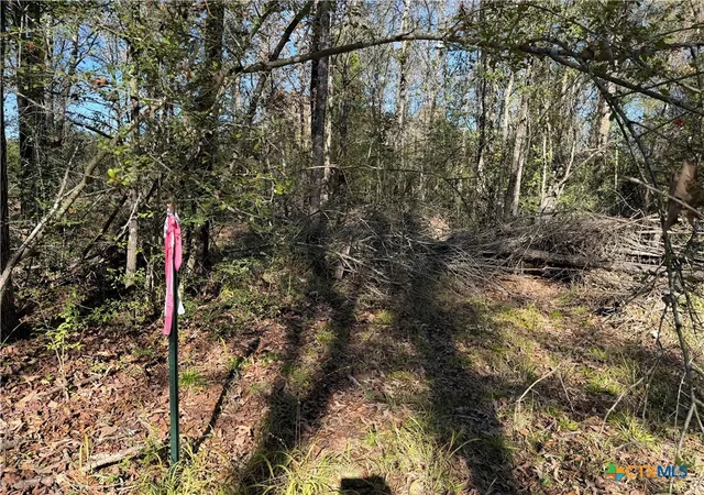 Photo 2 of Land for sale at 128 County Rd 301 Tract 7, Fairfield, TX 75855 | MLS# 599635 | Listing updated on 2026-08-21