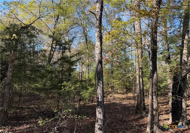 Photo 3 of Land for sale at 128 County Rd 301 Tract 7, Fairfield, TX 75855 | MLS# 599635 | Listing updated on 2026-08-21