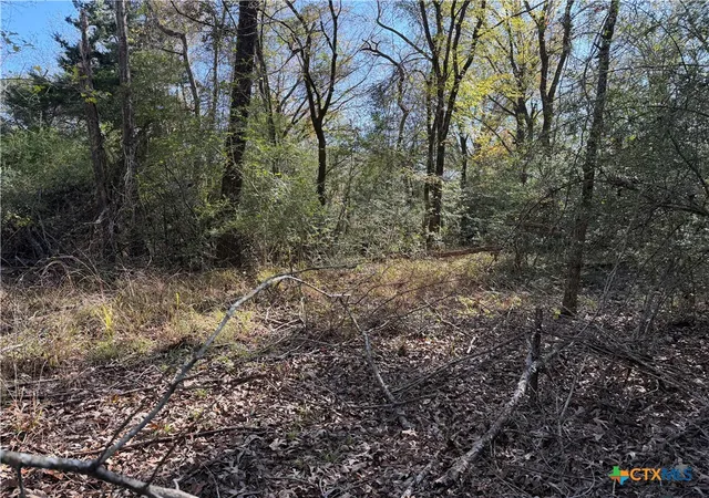 Photo 4 of Land for sale at 128 County Rd 301 Tract 7, Fairfield, TX 75855 | MLS# 599635 | Listing updated on 2026-08-21