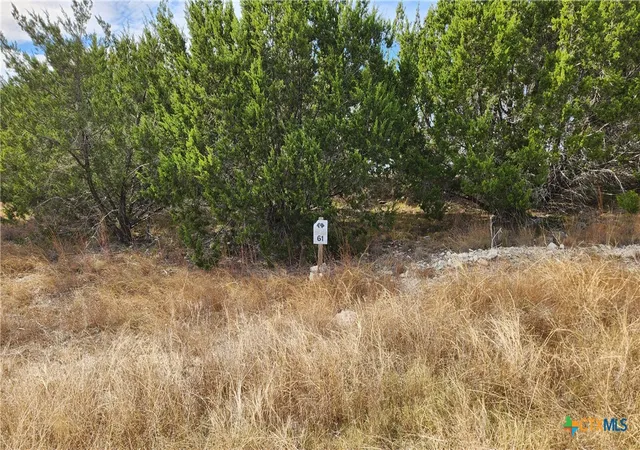 Photo 2 of Land for sale at Tbd Shin Oak Dr, Lampasas, TX 76550 | MLS# 600831 | Listing updated on 2026-08-04