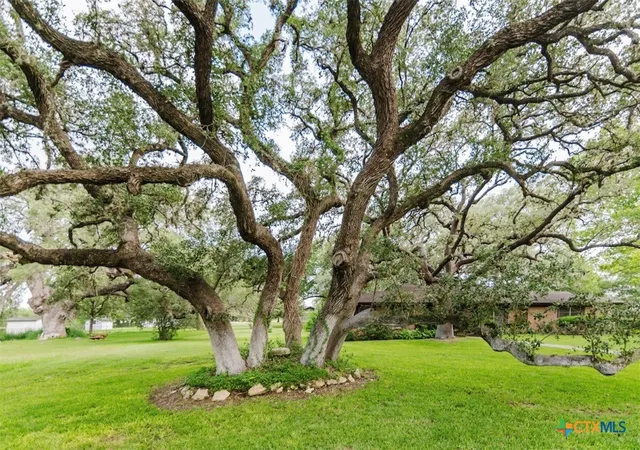 Photo 4 of Single family home for sale at 1209 Moss Ln, Cuero, TX 77954 | MLS# 600867 | Listing updated on 2026-08-20