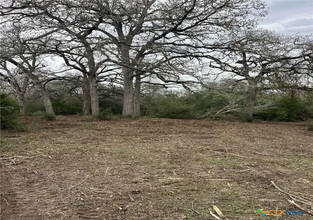 Land for sale at 164 County Rd 187, Hallettsville, TX 77964 | MLS# 601817