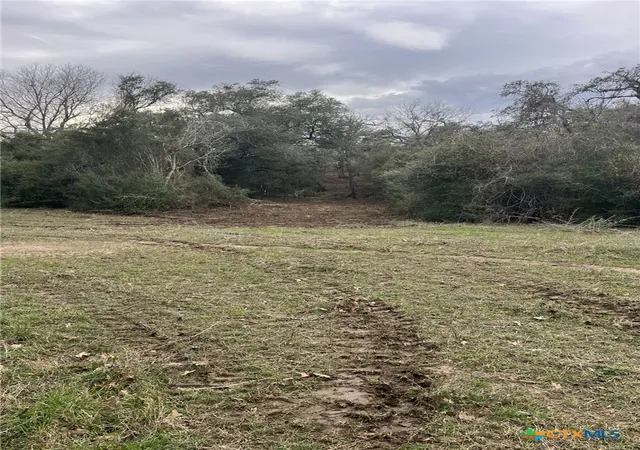 Photo 3 of Land for sale at 164 County Rd 187, Hallettsville, TX 77964 | MLS# 601817 | Listing updated on 2026-08-17