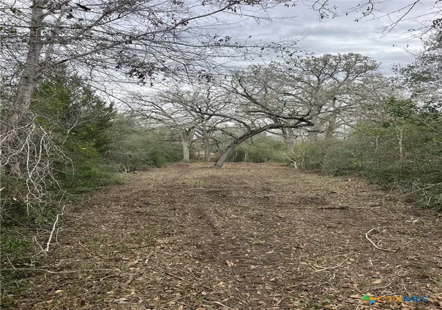 Photo 4 of Land for sale at 164 County Rd 187, Hallettsville, TX 77964 | MLS# 601817 | Listing updated on 2026-08-17