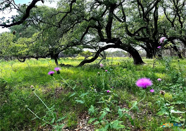 Photo 19 of Land for sale at 285 Donnie Dr, Lampasas, TX 76550 | MLS# 602023 | Listing updated on 2026-09-02