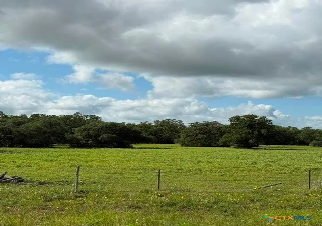 Photo 3 of Land for sale at 0 Fm 1447, Yoakum, TX 77995 | MLS# 602740 | Listing updated on 2026-08-31