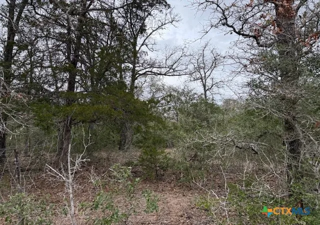 Photo 4 of House for sale at 0 Fm 1447, Yoakum, TX 77995 | MLS# 602740 | Listing updated on 2026-08-31