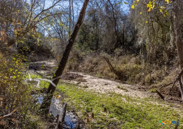 Photo 2 of Sale Pending at 000 County Rd 284, Edna, TX 77957 | MLS# 602857 | Listing updated on 2026-09-01