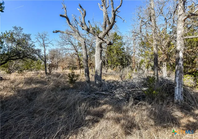Photo 3 of Land for sale at 430 County Rd 220, Florence, TX 76527 | MLS# 603218 | Listing updated on 2026-08-18