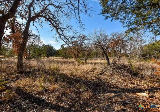 Photo 4 of Land for sale at 430 County Rd 220, Florence, TX 76527 | MLS# 603218 | Listing updated on 2026-08-18