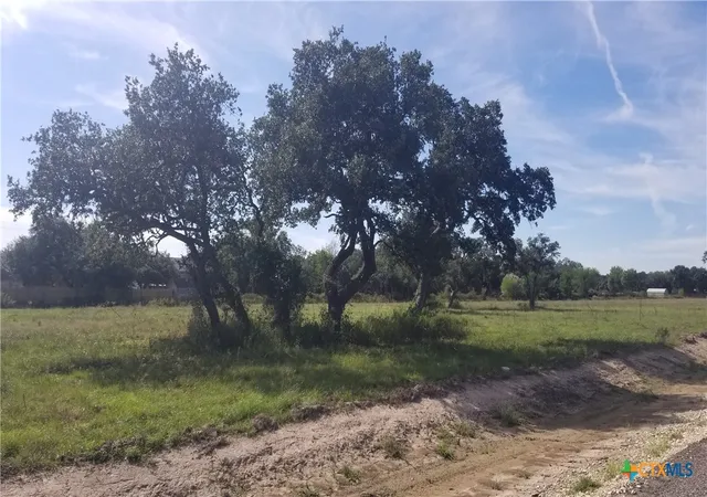 Photo 3 of Land for sale at 000 Enchanted Oaks, Inez, TX 77968 | MLS# 604176 | Listing updated on 2026-09-01
