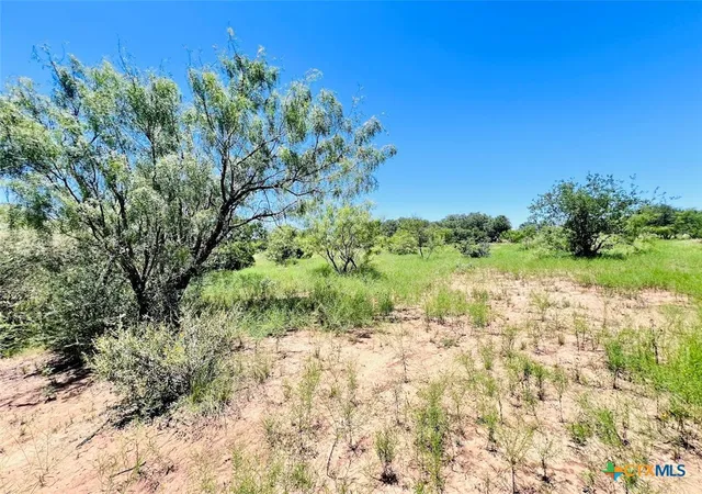Photo 3 of Land for sale at 1349 County Rd 152, Brownwood, TX 76801 | MLS# 604888 | Listing updated on 2026-09-30
