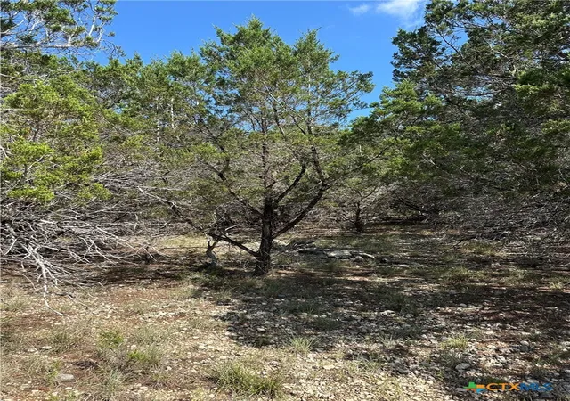 Photo 3 of Land for sale at 121 Agarita Dr, Spring Branch, TX 78070 | MLS# 605364 | Listing updated on 2026-08-04