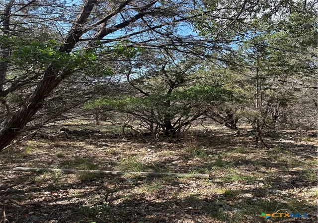 Photo 4 of Land for sale at 121 Agarita Dr, Spring Branch, TX 78070 | MLS# 605364 | Listing updated on 2026-08-04