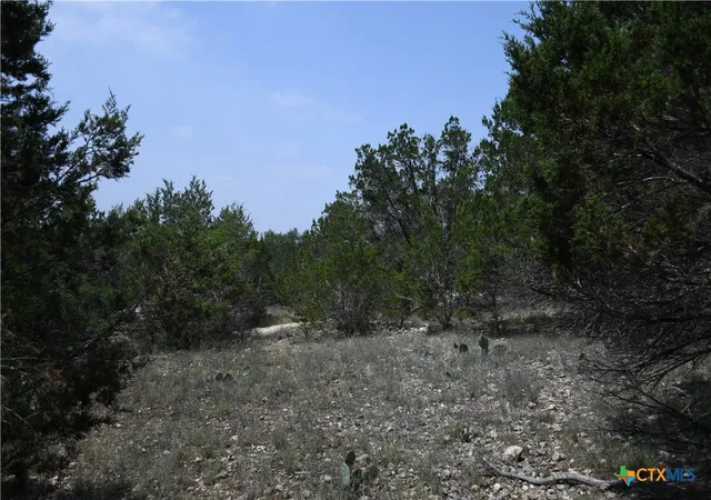 Photo 1 of Land for sale at 135 Agarita Dr, Spring Branch, TX 78070 | MLS# 605367 | Listing updated on 2026-08-04