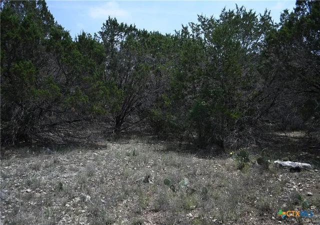 Photo 1 of Land for sale at 135 Agarita Dr, Spring Branch, TX 78070 | MLS# 605367 | Listing updated on 2026-08-04