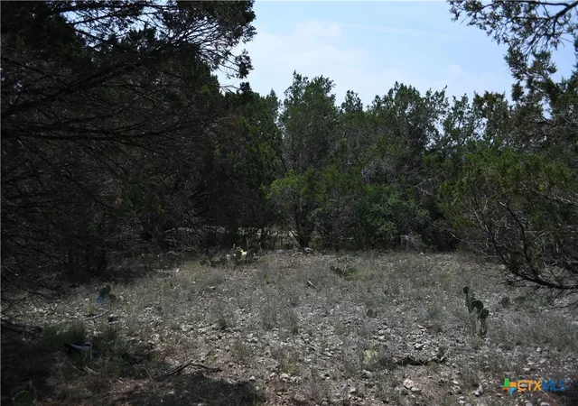 Photo 2 of Land for sale at 135 Agarita Dr, Spring Branch, TX 78070 | MLS# 605367 | Listing updated on 2026-08-04