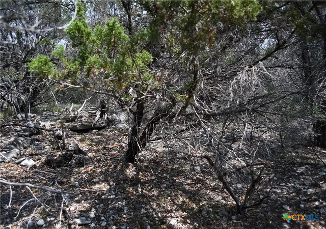 Photo 3 of Land for sale at 135 Agarita Dr, Spring Branch, TX 78070 | MLS# 605367 | Listing updated on 2026-08-04