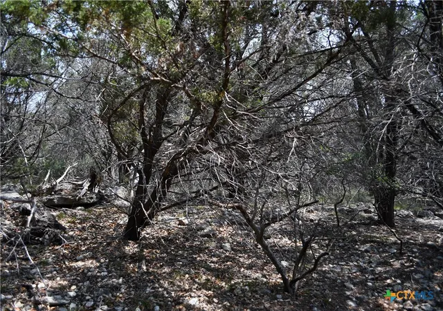 Photo 4 of Land for sale at 135 Agarita Dr, Spring Branch, TX 78070 | MLS# 605367 | Listing updated on 2026-08-04