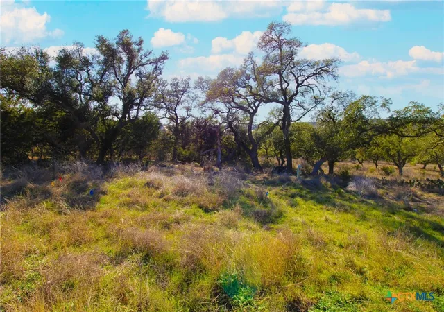 Photo 1 of Land for sale at 436 Cavy Rd, New Braunfels, TX 78132 | MLS# 605157 | Listing updated on 2026-08-18