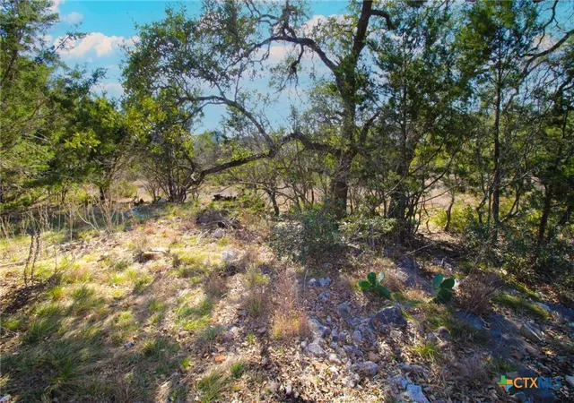 Photo 2 of Land for sale at 436 Cavy Rd, New Braunfels, TX 78132 | MLS# 605157 | Listing updated on 2026-08-18