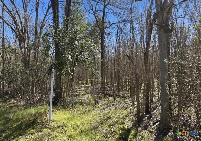Photo 3 of Land for sale at 330 Half Ave, Rockdale, TX 76567 | MLS# 604824 | Listing updated on 2026-08-24
