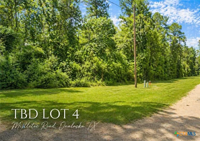 Land for sale at Tbd Mistletoe St, Onalaska, TX 77360 | MLS# 606334