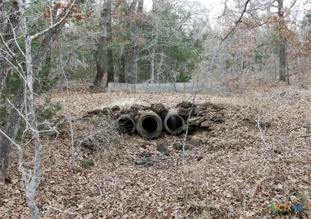 Photo 3 of Land for sale at 8729 E Fm 20, Dale, TX 78616 | MLS# 606446 | Listing updated on 2026-09-01