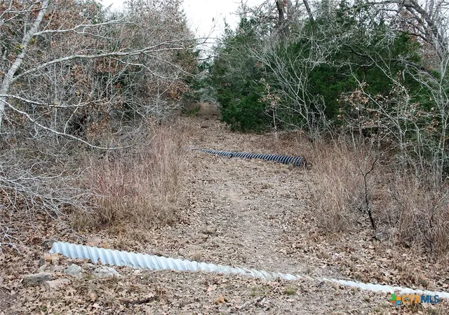 Photo 4 of Land for sale at 8729 E Fm 20, Dale, TX 78616 | MLS# 606446 | Listing updated on 2026-09-01