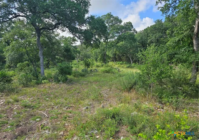 Photo 1 of Land for sale at Tbd Happy Holw, New Braunfels, TX 78132 | MLS# 606625 | Listing updated on 2026-08-30