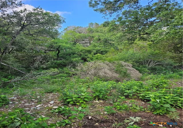 Photo 2 of Land for sale at Tbd Happy Holw, New Braunfels, TX 78132 | MLS# 606625 | Listing updated on 2026-08-30