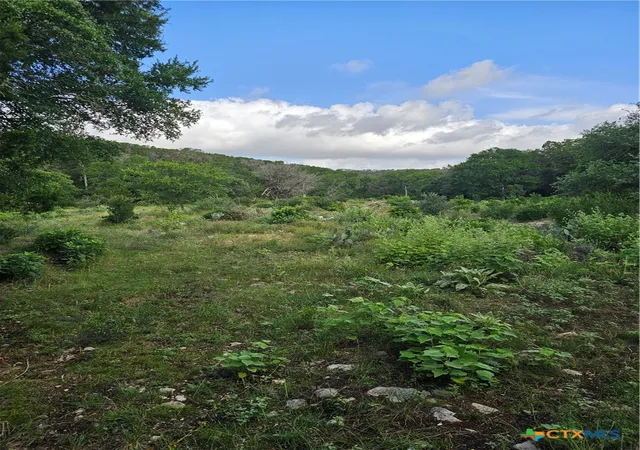 Photo 3 of Land for sale at Tbd Happy Holw, New Braunfels, TX 78132 | MLS# 606625 | Listing updated on 2026-08-30