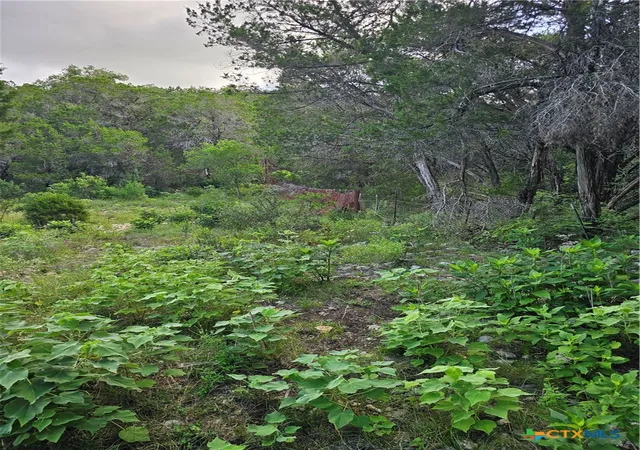 Photo 4 of Land for sale at Tbd Happy Holw, New Braunfels, TX 78132 | MLS# 606625 | Listing updated on 2026-08-30