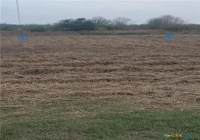Photo 3 of Land for sale at 1603 1607 W Cleveland Ave, Seadrift, TX 77983 | MLS# 606966 | Listing updated on 2026-09-08