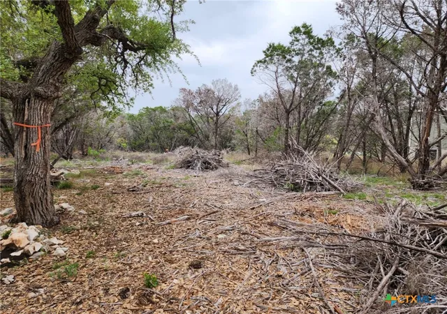 Photo 1 of Land for sale at 1745 Moon View Dr, New Braunfels, TX 78132 | MLS# 607111 | Listing updated on 2026-09-10