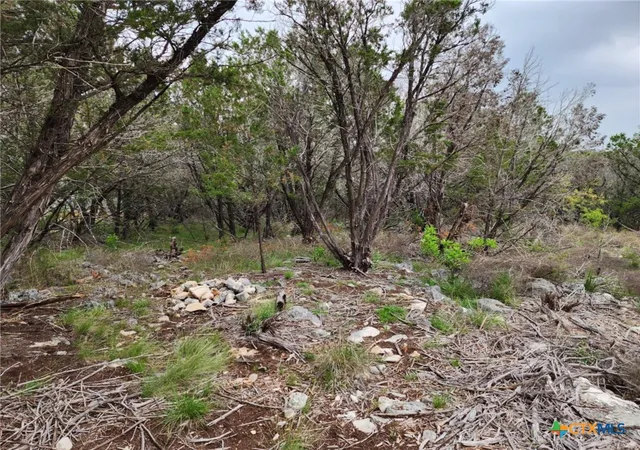 Photo 4 of Land for sale at 1745 Moon View Dr, New Braunfels, TX 78132 | MLS# 607111 | Listing updated on 2026-09-10