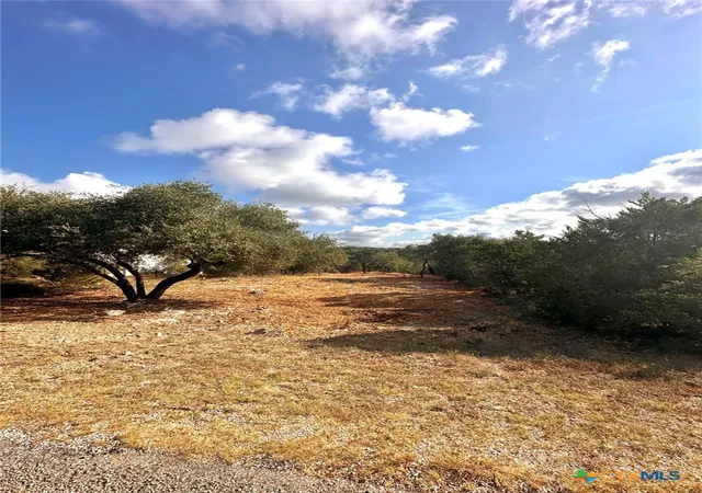 Photo 4 of Land for sale at 1447 Carson Crk, Canyon Lake, TX 78133 | MLS# 607516 | Listing updated on 2026-09-10