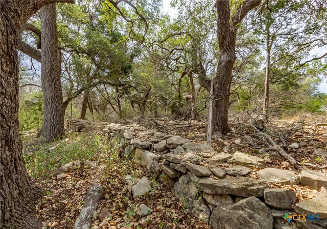 Photo 32 of Single family home for sale at 250 Mail Route Rd, Fischer, TX 78623 | MLS# 607763 | Listing updated on 2026-08-03