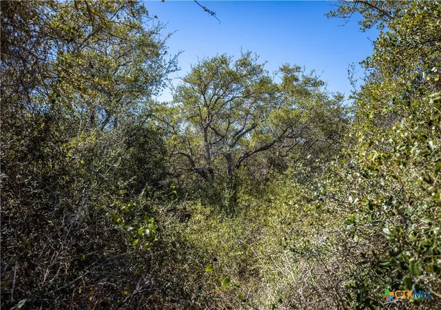 Photo 36 of Land for sale at Blk A Tr 13 Rhodes Ave, Aransas Pass, TX 78336 | MLS# 607933 | Listing updated on 2026-09-09