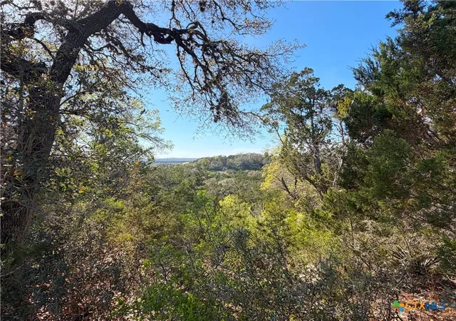 Photo 3 of Land for sale at 126 Riddle Rd, Spring Branch, TX 78070 | MLS# 609036 | Listing updated on 2026-09-03