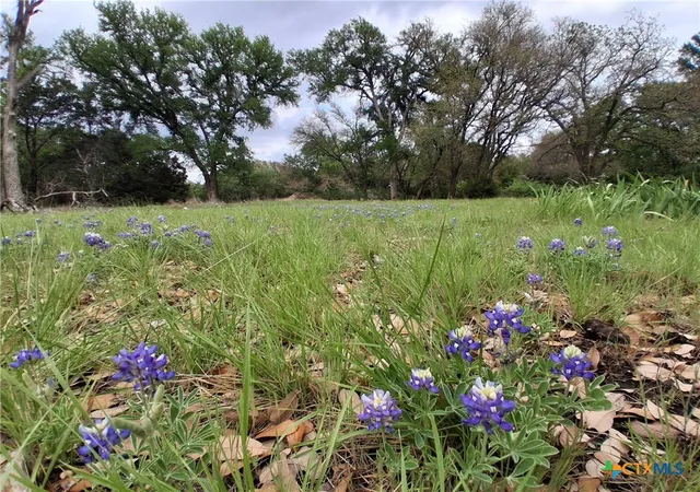 Photo 3 of Land for sale at 14450 Fm 2843, Salado, TX 76571 | MLS# 609379 | Listing updated on 2026-09-08