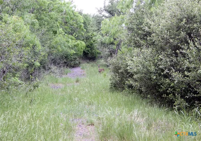 Photo 2 of Land for sale at 7887 Pettytown Rd, Red Rock, TX 78662 | MLS# 609417 | Listing updated on 2026-09-23