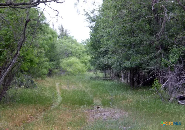 Photo 3 of Land for sale at 7887 Pettytown Rd, Red Rock, TX 78662 | MLS# 609417 | Listing updated on 2026-09-23
