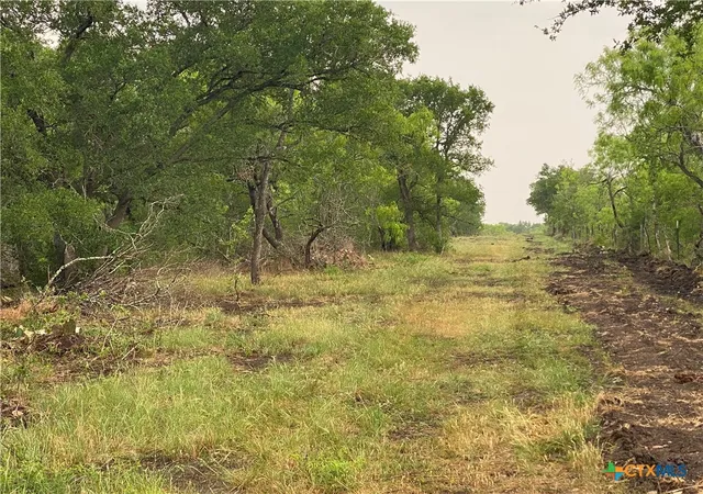 Photo 2 of Sale Pending at 8 Fm 2814, Waelder, TX 78959 | MLS# 608852 | Listing updated on 2026-08-04