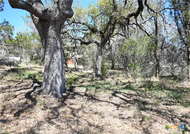Photo 3 of Land for sale at 1361 Hidden Valley Dr, Spring Branch, TX 78070 | MLS# 609499 | Listing updated on 2026-09-03